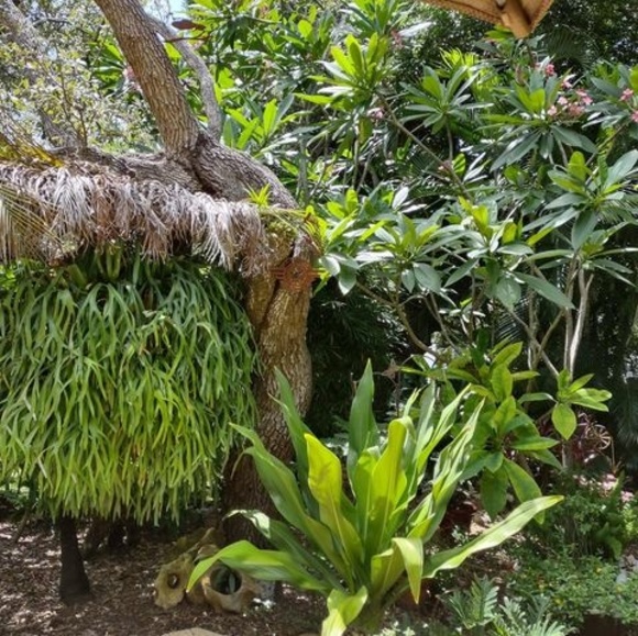 Profile Picture of Diane Hurd (@diane_hurd) on Poshmark