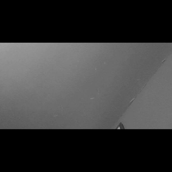 Profile Picture of Ariel Salazar (@arielmariesala) on Poshmark