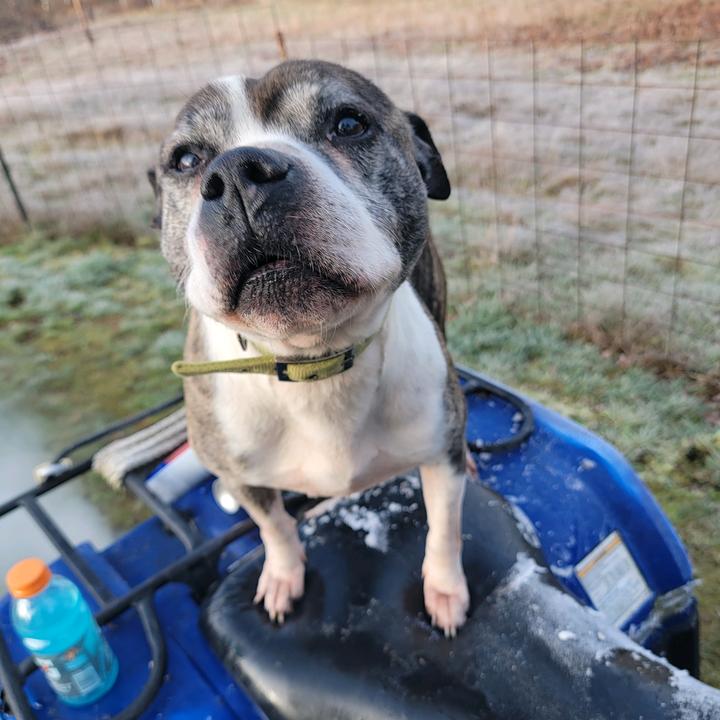 Profile Picture of Jason Hatch (@@jasonhatch3) on Tiktok