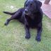Profile Picture of James Keiller (@james.keiller.39) on Facebook