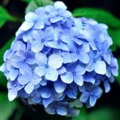 Profile Picture of Lambert Winston (@bertston) on Pinterest