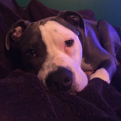 Profile Picture of Nichole Quinn (@colie8217) on Twitter