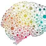 Christopher Davidson Forum - Instagram Profile Picture of Christopher Davidson Forum (@cdforum_wustl) on Instagram