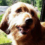 Profile Picture of Ray Uhrig (@bogart_uhrig) on Instagram