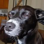 Profile Picture of Kyle Rittenberg (@Kyle-Rittenberg) on Facebook