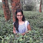 Profile Picture of Nancy Varghese (@nancyvarghese95) on Instagram
