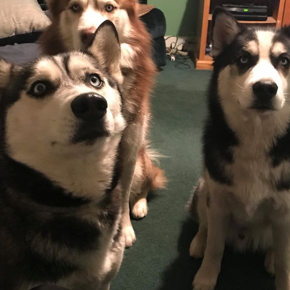 Cindy Nitzer - Poshmark Profile Picture of Cindy Nitzer (@nitzerc) on Poshmark