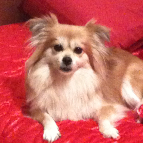 Profile Picture of Nini Cachero (@manic918) on Poshmark