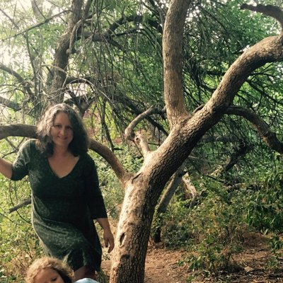 Profile Picture of Phaedra C Pezzullo (@PhaedraPezzullo) on Twitter