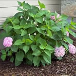 Profile Picture of Loretta Sorrells Tucker (@loretta.s.tucker) on Facebook