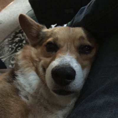 Profile Picture of Jim Masterson (@FourTonyQuotes) on Twitter