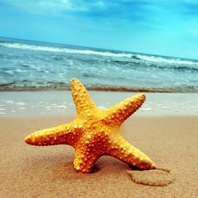 Profile Picture of Chris Windle (@ChrisWindle3) on Twitter