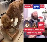 Profile Picture of   Manny Singh (@manny.singh)... (@manny.singh) on Tiktok