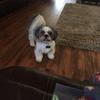 Profile Picture of francessimonsruskauff (@francessimonsruskauff) on Tiktok