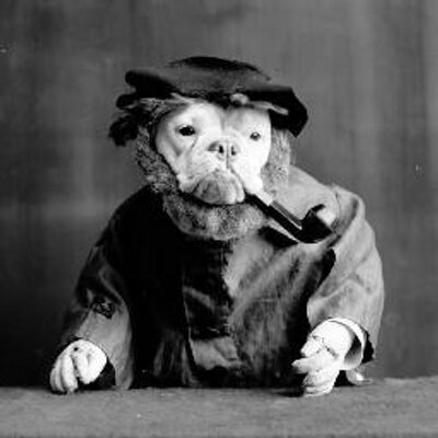 Profile Picture of Brad Cardwell (@wellbrad) on Twitter