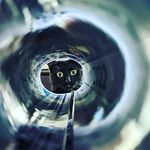 Profile Picture of Kyle Exner (@k_exner) on Instagram