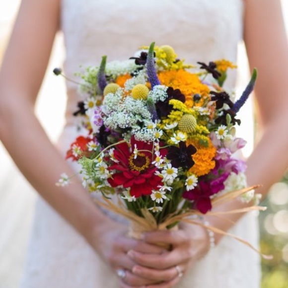 Profile Picture of Lauren Schoger (@patty_cake512) on Poshmark