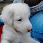 ranallino - Instagram Profile Picture of ranallino (@antonio_ranalli_) on Instagram