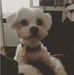 Profile Picture of Zuzia Fiertek (@zuzia.fiertek.1) on Facebook