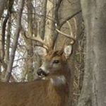 Profile Picture of Dylan Burris (@dylan.burris09) on Instagram