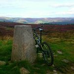 Profile Picture of Bruce McLeod (@skyhook2749) on Instagram