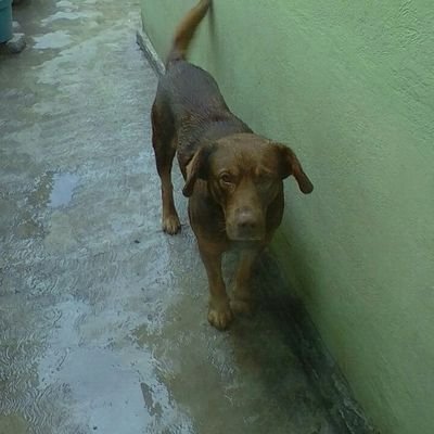 Profile Picture of Josefina Blas (@JosefinaBlas8) on Twitter