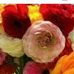 Profile Picture of Adel Muslem (@adel.muslem.33) on Facebook
