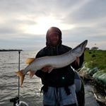 Profile Picture of Mark Bantz (@bantzmark) on Instagram