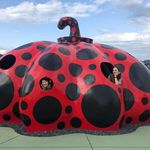 Profile Picture of Fiona O'Connor (@fionaoconnor4) on Instagram