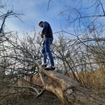 Profile Picture of Robert Mirel (@robertmirel3) on Instagram