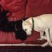 Profile Picture of Dorothy Shulman (@dorothy.shulman.908) on Facebook