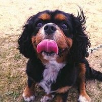 Profile Picture of Graham Dunbar (@graham-dunbar) on Quora