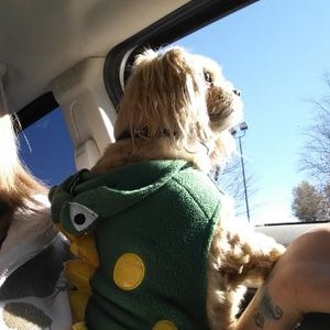 Profile Picture of Deanna Milton (@DeannaMilton2) on Twitter