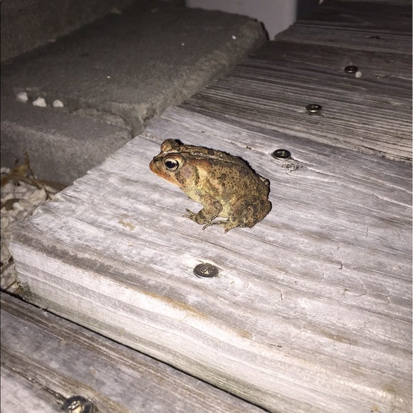 Profile Picture of Will Mitchell (@mitchwr) on Poshmark