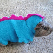 Profile Picture of Jordan Eng (@jordanlam1552) on Youtube