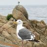 Profile Picture of James Siewert (@jesiewert3) on Pinterest
