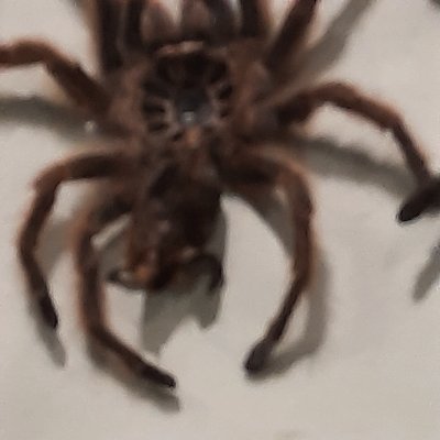 Profile Picture of Mandy Dooley (@mandydooley12) on Twitter