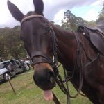 Profile Picture of Jim Rawlings (@jimrawlings) on Instagram