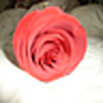 Profile Picture of Fran (@La Loca Sin Zapatos) on Flickr