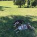 Profile Picture of Carroll Mitchell (@carroll.mitchell.9235) on Facebook