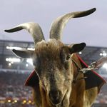 Profile Picture of Michael Schilke (@mikeschilke) on Instagram