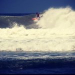 Profile Picture of scottpiccione (@scottpiccione) on Instagram
