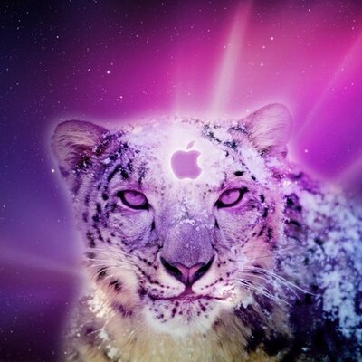 Profile Picture of Whitefox82 (@ariel4shah82) on Twitter