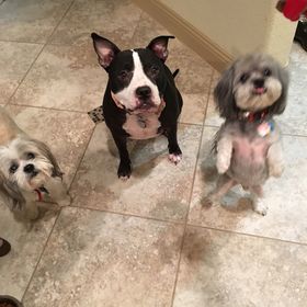 Profile Picture of Heather Charles (@heathercharles1) on Pinterest