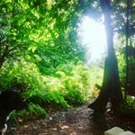 Profile Picture of Timothy Winters (@man_on_a_mountain) on Instagram