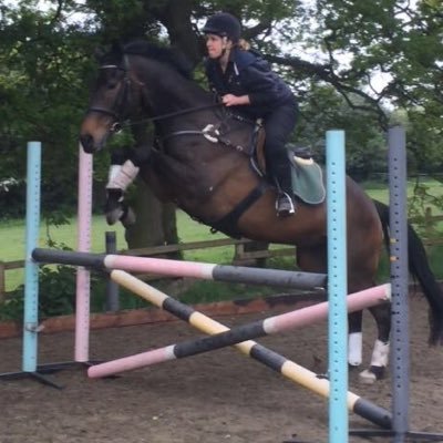 Profile Picture of Ann Devlin (@anndevlin0810) on Twitter