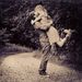 Profile Picture of Christi House (@chouseof7) on Pinterest