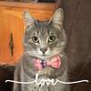 Profile Picture of Darren Nancy Berscha (@@darrennancybersch) on Tiktok