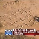 Profile Picture of Shane Nicholson (@the_botx) on Instagram