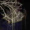 Profile Picture of Joseph Dow (@dow.joseph) on Tiktok